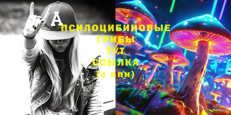 ссылка на мегу tor  Кириллов  Псилоцибиновые грибы Cubensis 